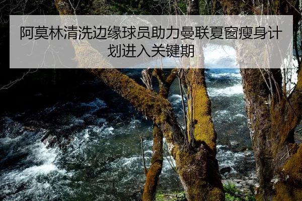 阿莫林清洗边缘球员助力曼联夏窗瘦身计划进入关键期