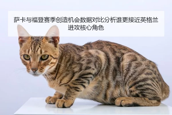 萨卡与福登赛季创造机会数据对比分析谁更接近英格兰进攻核心角色
