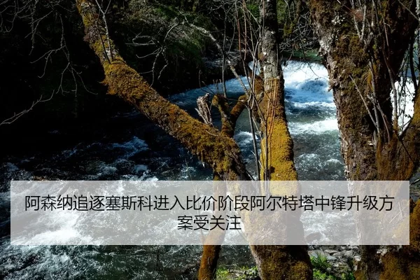 阿森纳追逐塞斯科进入比价阶段阿尔特塔中锋升级方案受关注