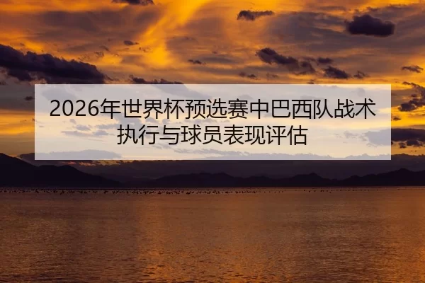 2026年世界杯预选赛中巴西队战术执行与球员表现评估