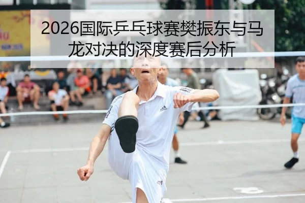 2026国际乒乓球赛樊振东与马龙对决的深度赛后分析