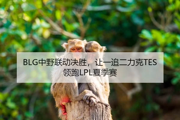 BLG中野联动决胜，让一追二力克TES领跑LPL夏季赛