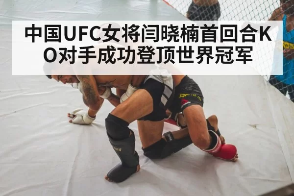 UFC fighter knockout